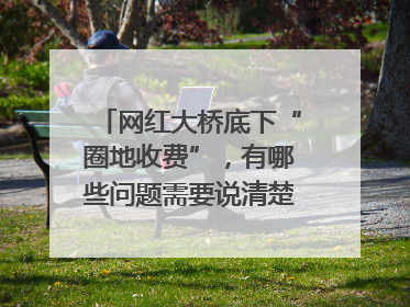网红大桥底下“圈地收费”，有哪些问题需要说清楚｜新京报快评