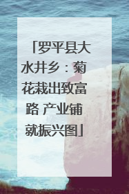 罗平县大水井乡：菊花栽出致富路 产业铺就振兴图