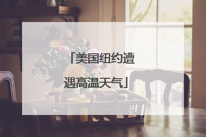 美国纽约遭遇高温天气