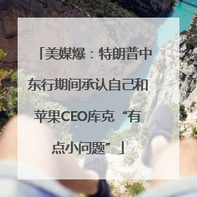 美媒爆：特朗普中东行期间承认自己和苹果CEO库克“有点小问题”