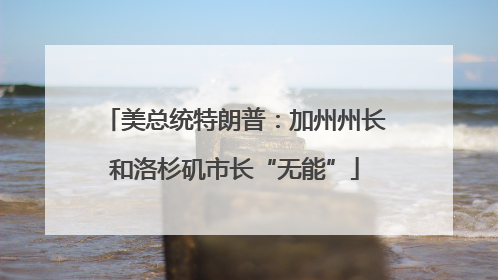 美总统特朗普：加州州长和洛杉矶市长“无能”