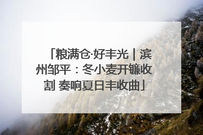 粮满仓·好丰光｜滨州邹平：冬小麦开镰收割 奏响夏日丰收曲