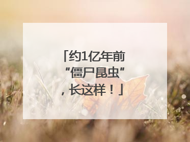约1亿年前“僵尸昆虫”，长这样！