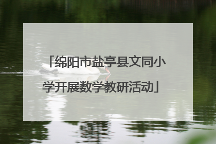 绵阳市盐亭县文同小学开展数学教研活动