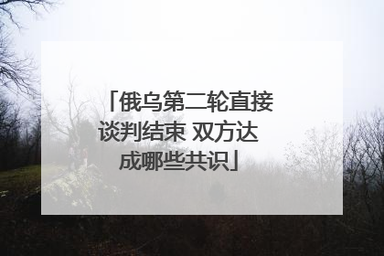 俄乌第二轮直接谈判结束 双方达成哪些共识