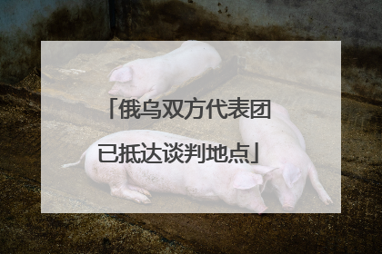 俄乌双方代表团已抵达谈判地点
