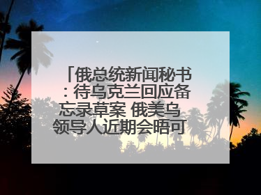 俄总统新闻秘书：待乌克兰回应备忘录草案 俄美乌领导人近期会晤可能性小