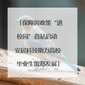 保障房政策“进校园”首站启动 安居科技助力高校毕业生留郑发展