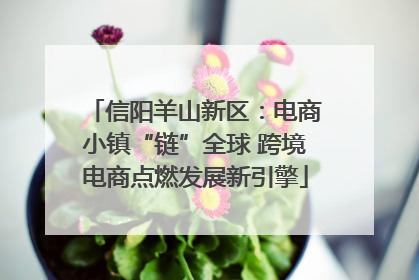 信阳羊山新区：电商小镇“链”全球 跨境电商点燃发展新引擎