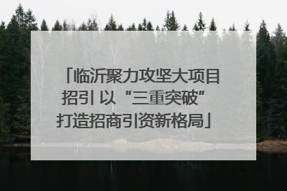 临沂聚力攻坚大项目招引 以“三重突破”打造招商引资新格局