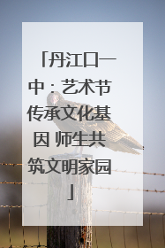 丹江口一中：艺术节传承文化基因 师生共筑文明家园
