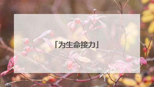 为生命接力