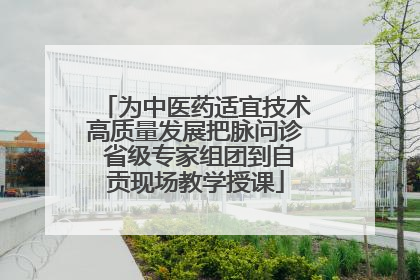 为中医药适宜技术高质量发展把脉问诊 省级专家组团到自贡现场教学授课