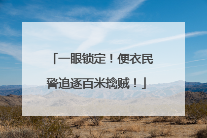 一眼锁定！便衣民警追逐百米擒贼！