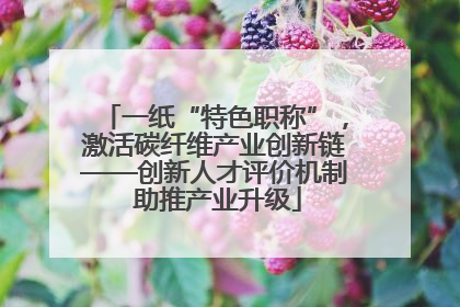 一纸“特色职称”，激活碳纤维产业创新链——创新人才评价机制 助推产业升级