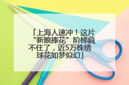 上海人速冲！这片“新娘捧花”阶梯藏不住了，近5万株绣球花如梦似幻