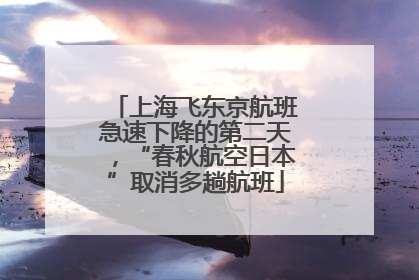 上海飞东京航班急速下降的第二天，“春秋航空日本”取消多趟航班