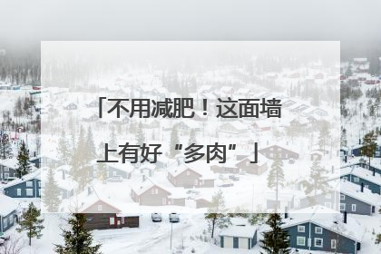 不用减肥！这面墙上有好“多肉”