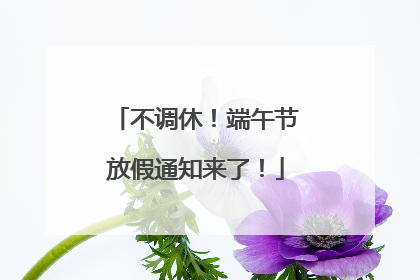 不调休！端午节放假通知来了！