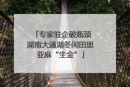 专家驻企破瓶颈 湖南大通湖冬闲田里亚麻“生金”