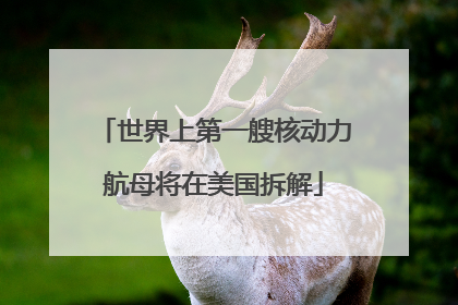 世界上第一艘核动力航母将在美国拆解