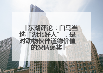 东湖评论：白马当选“湖北好人”，是对动物伙伴道德价值的深情褒奖