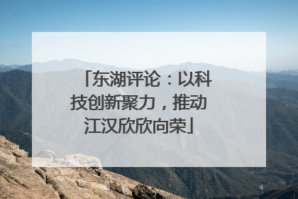 东湖评论：以科技创新聚力，推动江汉欣欣向荣