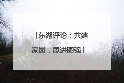 东湖评论：共建家园，思进图强