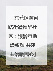 东营区黄河路街道物华社区：银龄互助焕新颜 共建共治暖民心