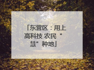 东营区：用上高科技 农民“慧”种地