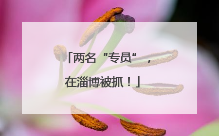 两名“专员”，在淄博被抓！