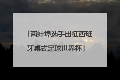 两蚌埠选手出征西班牙桌式足球世界杯