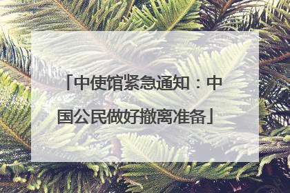 中使馆紧急通知：中国公民做好撤离准备