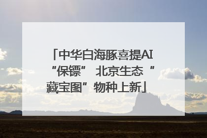 中华白海豚喜提AI“保镖” 北京生态“藏宝图”物种上新