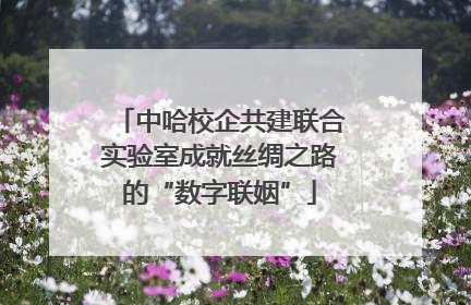 中哈校企共建联合实验室成就丝绸之路的“数字联姻”