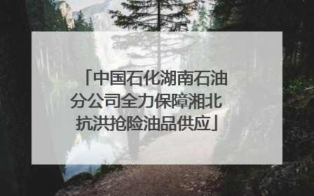 中国石化湖南石油分公司全力保障湘北抗洪抢险油品供应