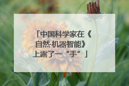 中国科学家在《自然·机器智能》上露了一“手”