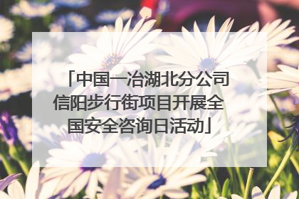 中国一冶湖北分公司信阳步行街项目开展全国安全咨询日活动