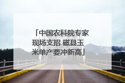 中国农科院专家现场支招 磁县玉米单产要冲新高