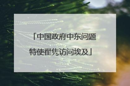 中国政府中东问题特使翟隽访问埃及