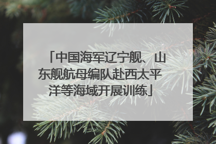 中国海军辽宁舰、山东舰航母编队赴西太平洋等海域开展训练