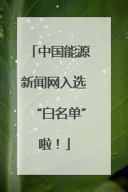 中国能源新闻网入选“白名单”啦！
