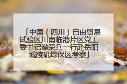 中国（四川）自由贸易试验区川南临港片区党工委书记谭荣兵一行赴岳阳城陵矶综保区考察