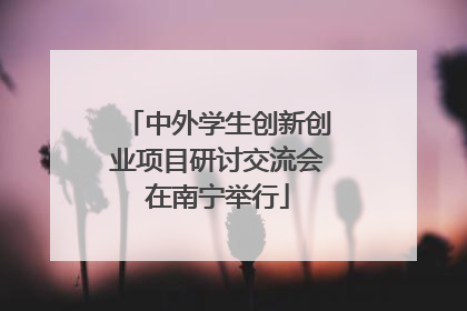 中外学生创新创业项目研讨交流会在南宁举行