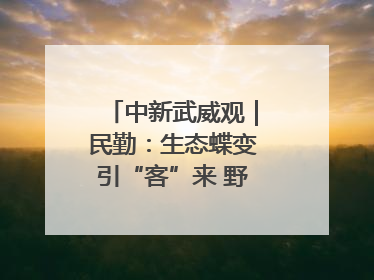 中新武威观｜民勤：生态蝶变引“客”来 野生动物乐逍遥