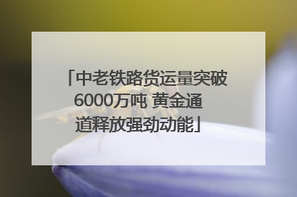 中老铁路货运量突破6000万吨 黄金通道释放强劲动能