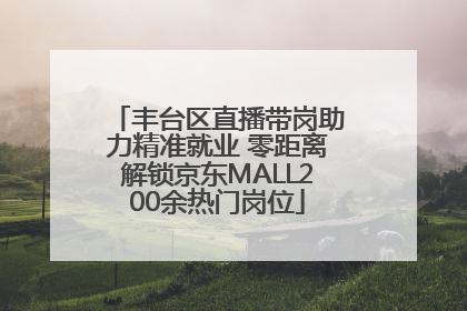 丰台区直播带岗助力精准就业 零距离解锁京东MALL200余热门岗位
