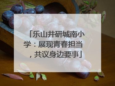 乐山井研城南小学：展现青春担当，共议身边要事