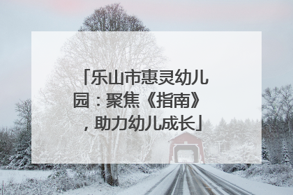 乐山市惠灵幼儿园：聚焦《指南》，助力幼儿成长