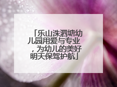 乐山洙泗塘幼儿园用爱与专业，为幼儿的美好明天保驾护航